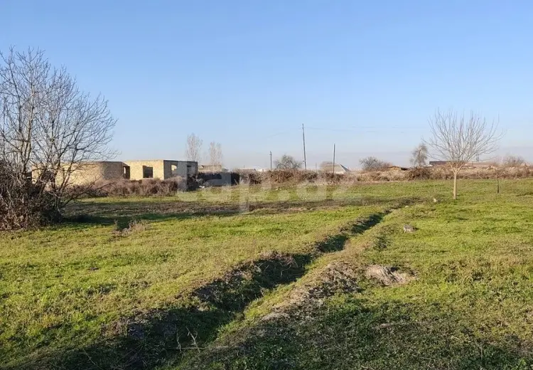 0 m² Obyekt / Ofis , Salyan
