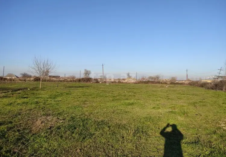 0 m² Obyekt / Ofis , Salyan