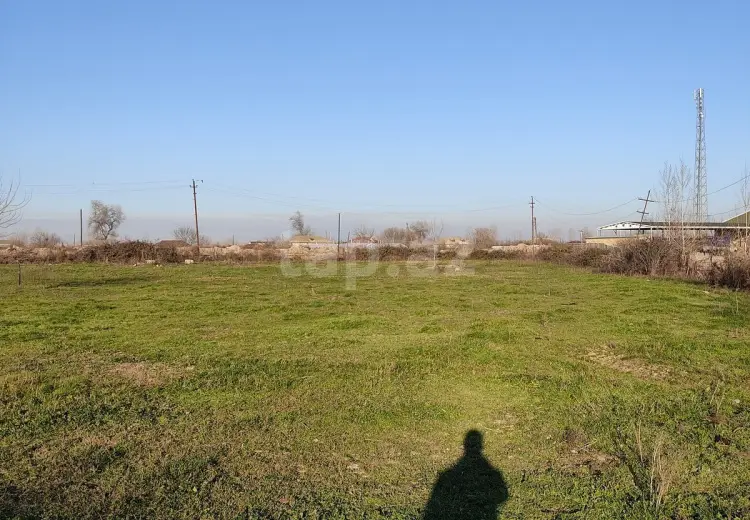0 m² Obyekt / Ofis , Salyan