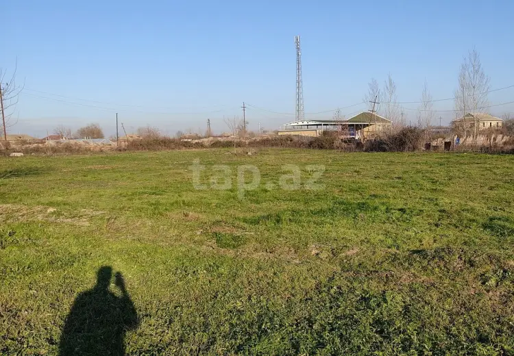 0 m² Obyekt / Ofis , Salyan