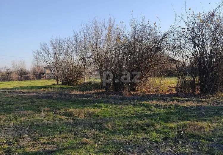 0 m² Obyekt / Ofis , Salyan