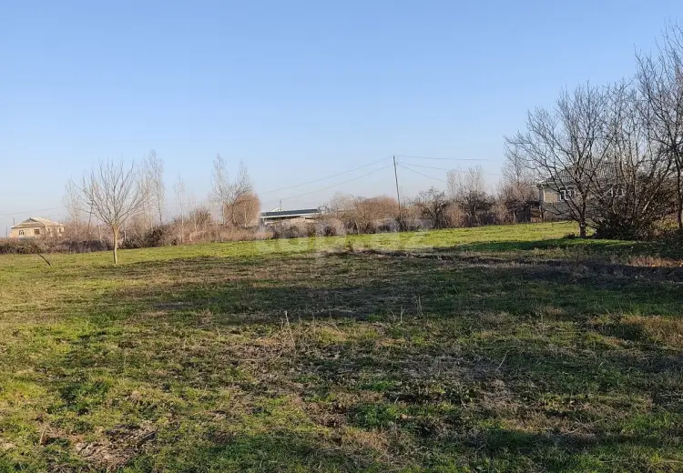 0 m² Obyekt / Ofis , Salyan