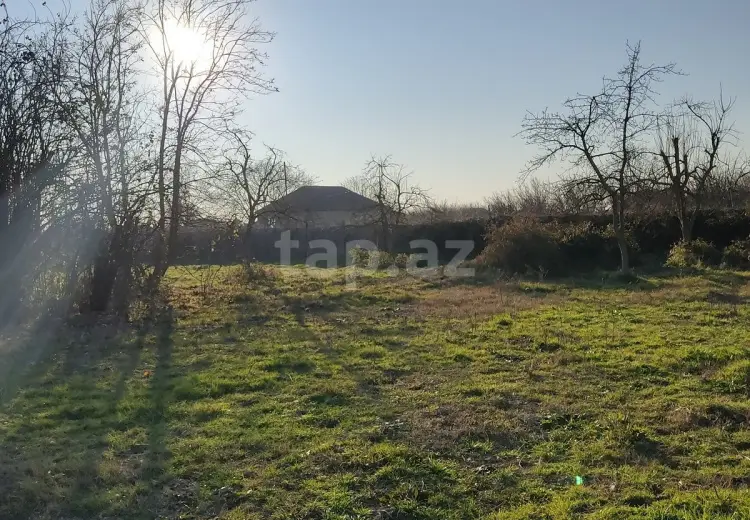 0 m² Obyekt / Ofis , Salyan