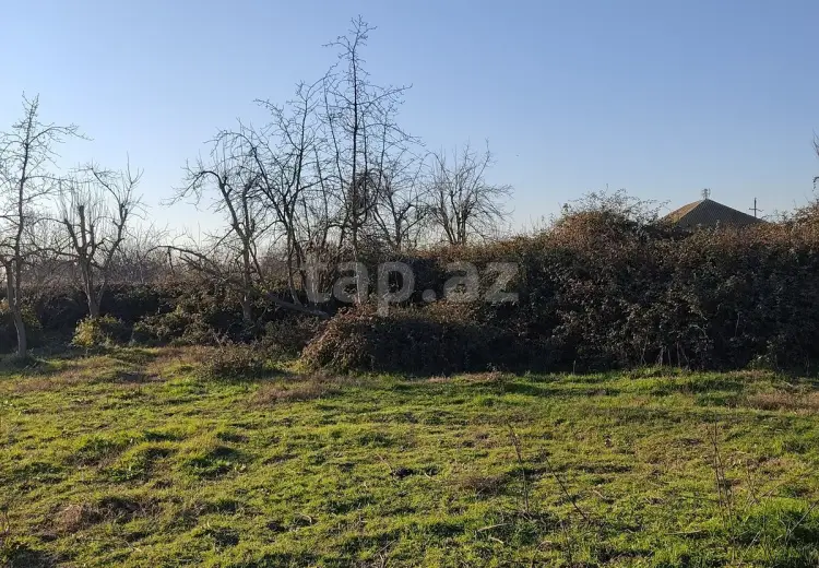 0 m² Obyekt / Ofis , Salyan