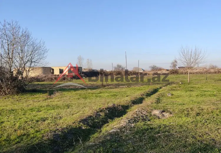 100 sot Torpaq Kirayə (aylıq), Salyan
