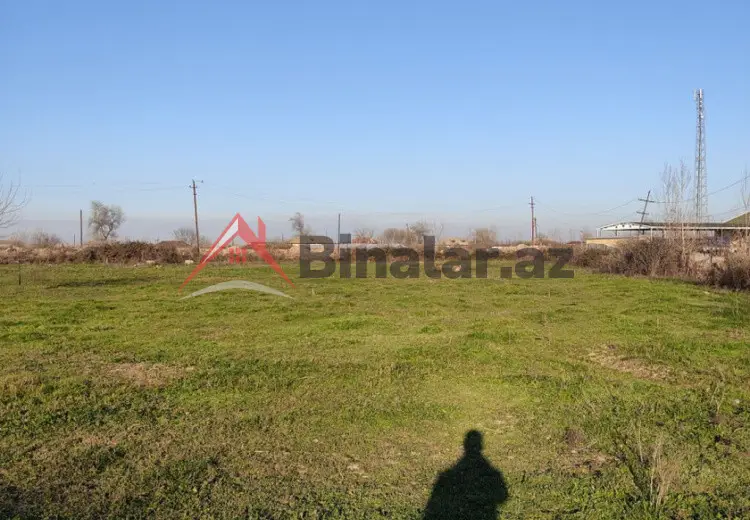 100 sot Torpaq Kirayə (aylıq), Salyan
