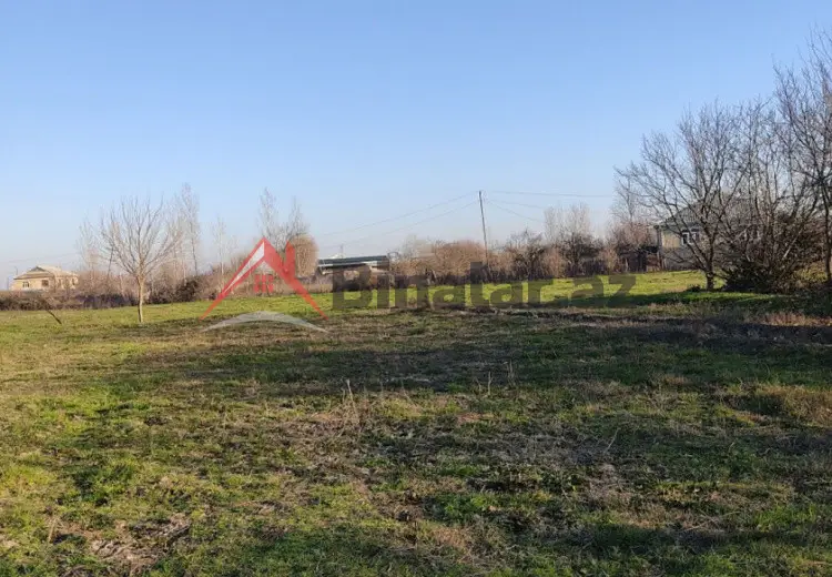 100 sot Torpaq Kirayə (aylıq), Salyan