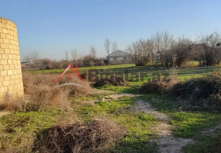 100 sot Torpaq Kirayə (aylıq), Salyan