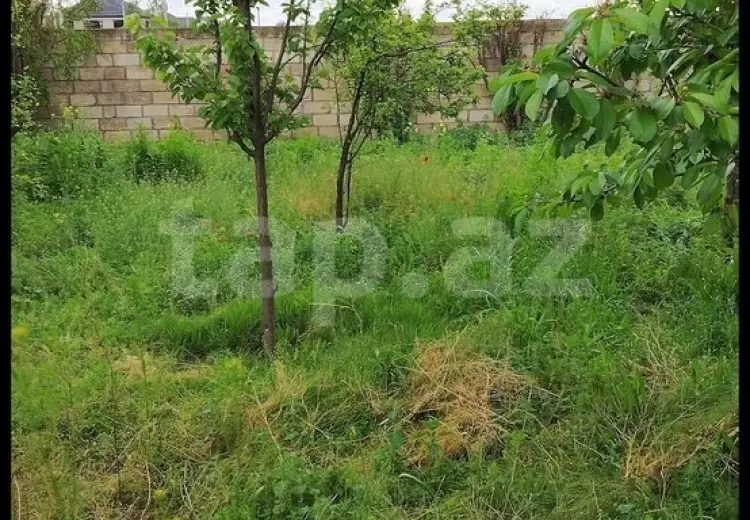 0 m² Obyekt / Ofis , Bərdə