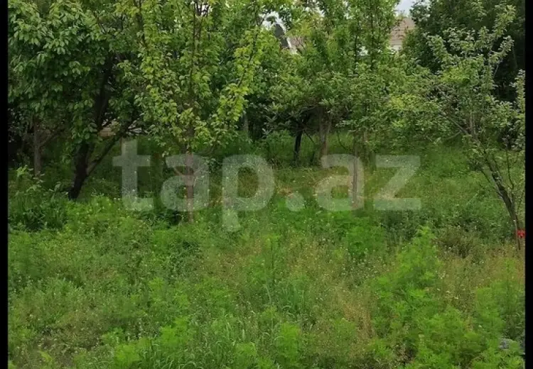 0 m² Obyekt / Ofis , Bərdə