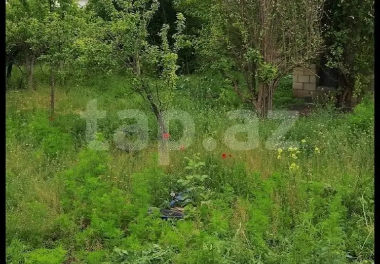 0 m² Obyekt / Ofis , Bərdə
