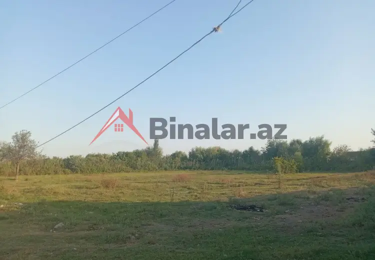 50 sot Torpaq Satılır, Şirvan