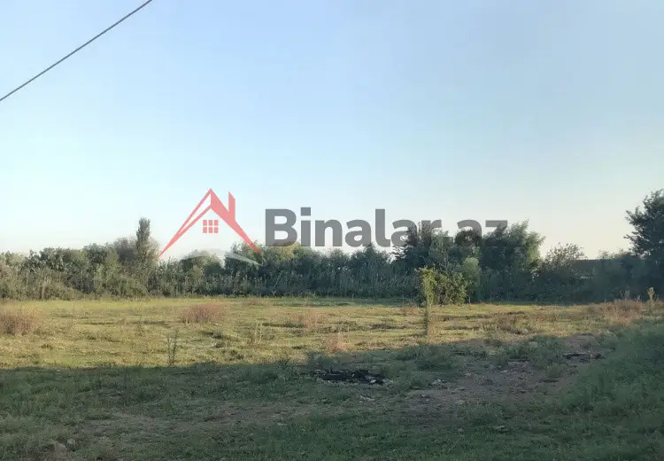 50 sot Torpaq Satılır, Şirvan