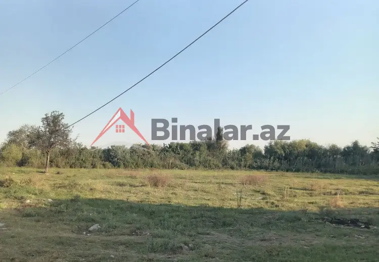 50 sot Torpaq Satılır, Şirvan