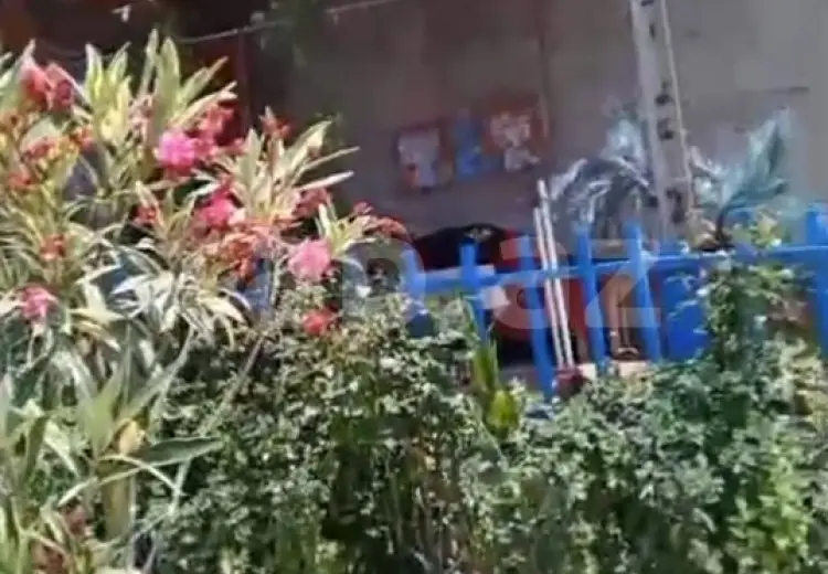 3 otaqlı mənzil , Mingəçevir