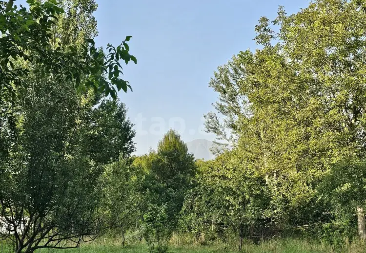 0 m² Obyekt / Ofis , Qəbələ