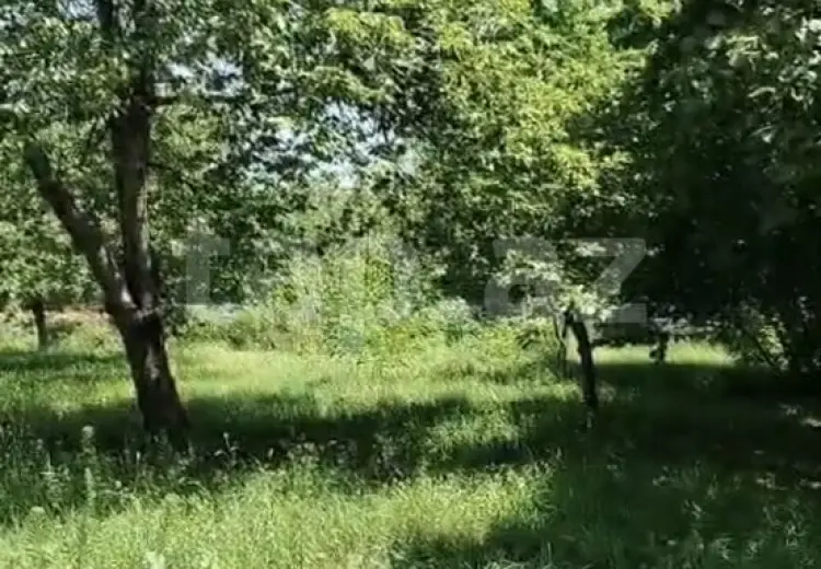 0 m² Obyekt / Ofis , Qəbələ