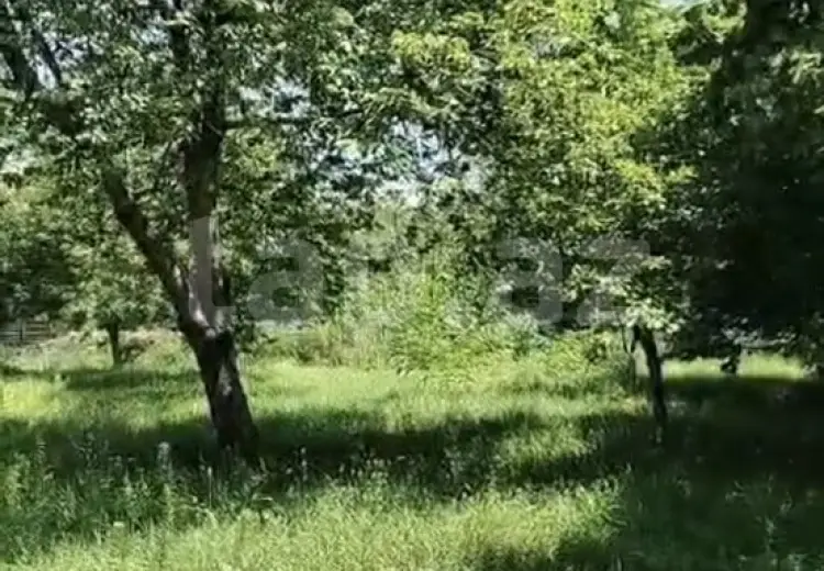 0 m² Obyekt / Ofis , Qəbələ