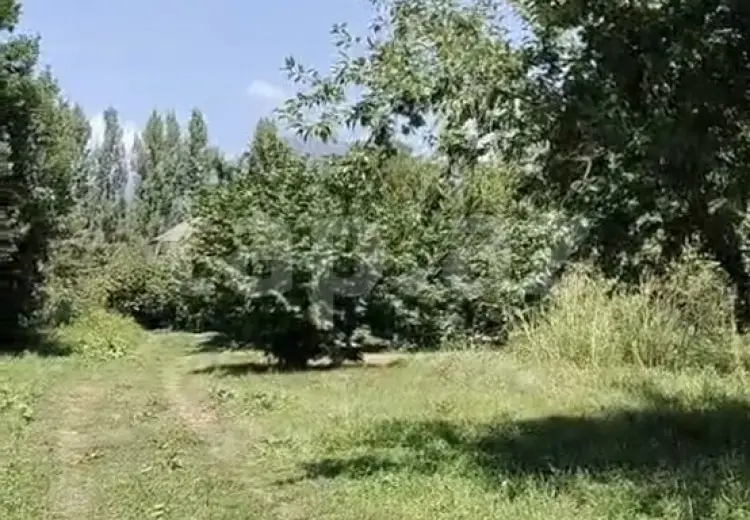 0 m² Obyekt / Ofis , Qəbələ