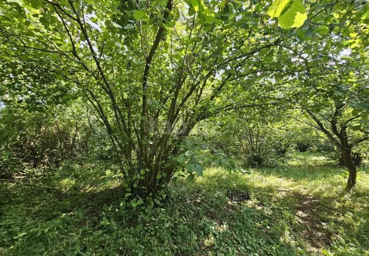0 m² Obyekt / Ofis , Bakı