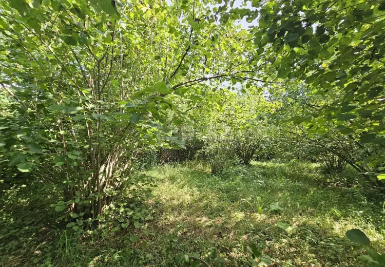 0 m² Obyekt / Ofis , Bakı