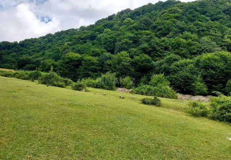 10.6 sot Torpaq Satılır, Qəbələ