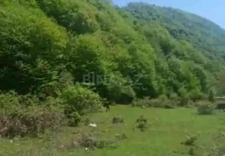 10.6 sot Torpaq Satılır, Qəbələ