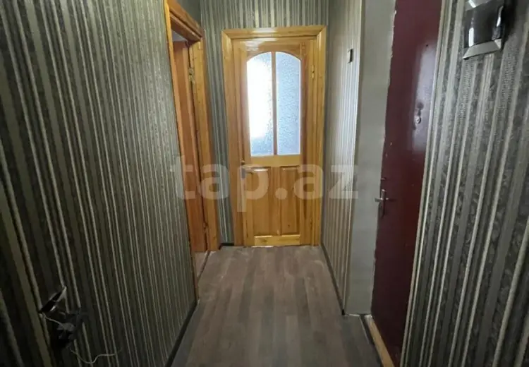 500 AZN - 2 otaqlı mənzil Kirayə (aylıq), Gəncə