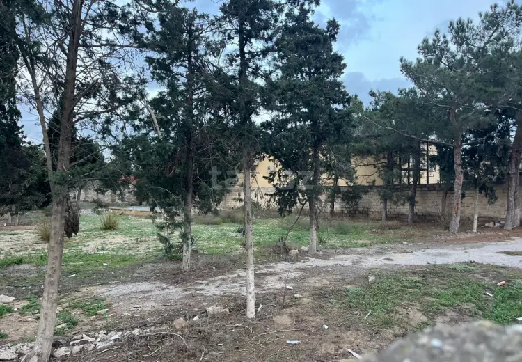 0 m² Obyekt / Ofis , Mərdəkan, Xəzər, Bakı