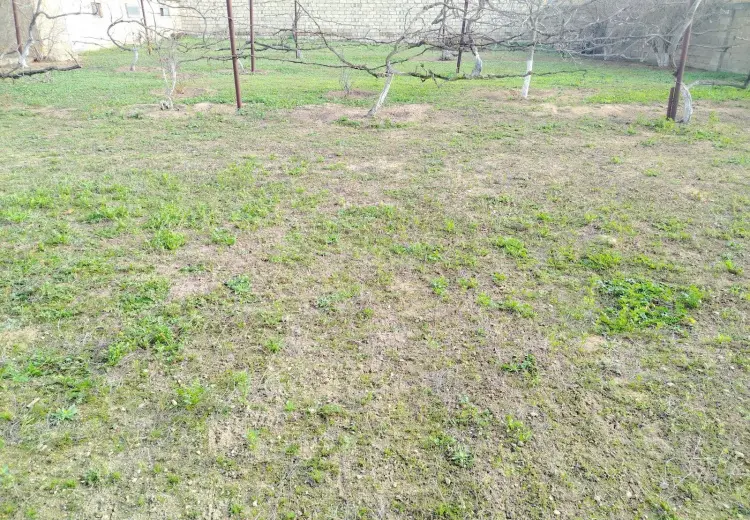 7.8 sot Torpaq Satılır, Buzovna, Xəzər, Bakı