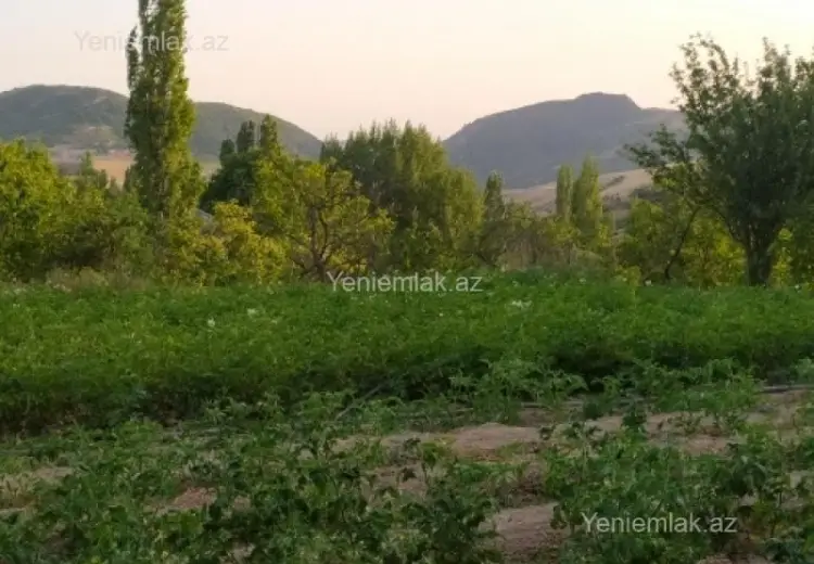 10 sot Torpaq Satılır, Şamaxı
