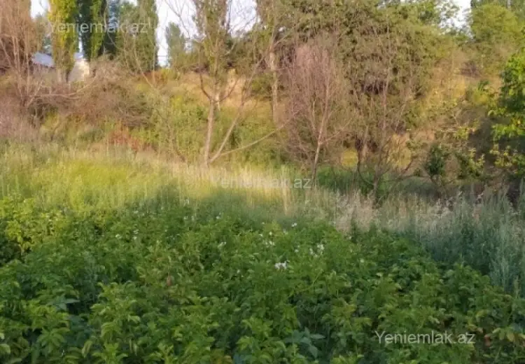 10 sot Torpaq Satılır, Şamaxı