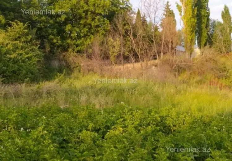 10 sot Torpaq Satılır, Şamaxı