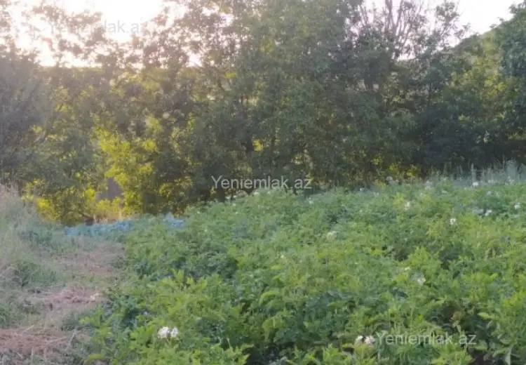 10 sot Torpaq Satılır, Şamaxı
