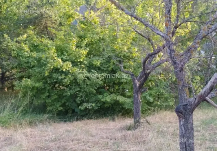 10 sot Torpaq Satılır, Şamaxı
