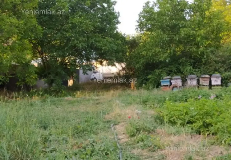 10 sot Torpaq Satılır, Şamaxı