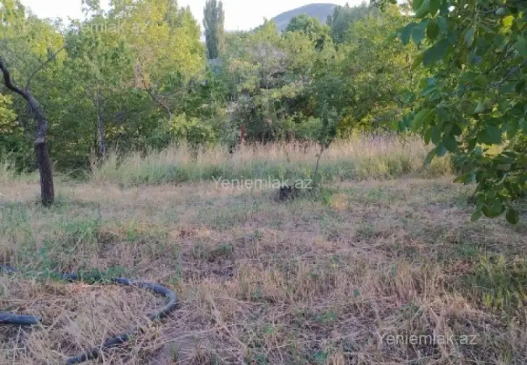 10 sot Torpaq Satılır, Şamaxı