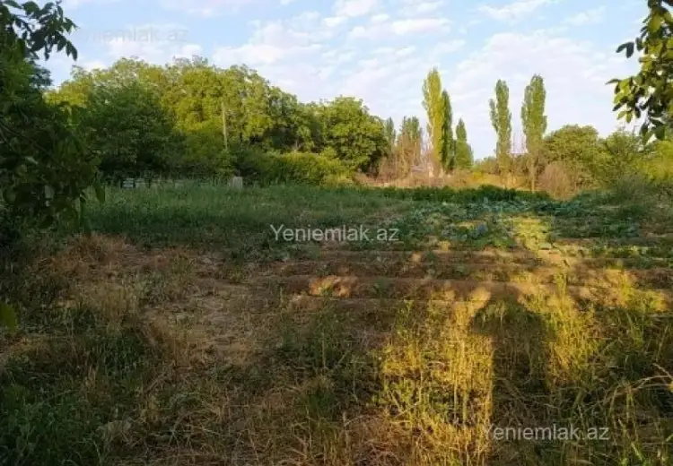 10 sot Torpaq Satılır, Şamaxı