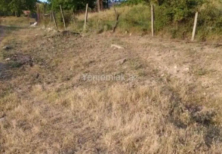 10 sot Torpaq Satılır, Şamaxı