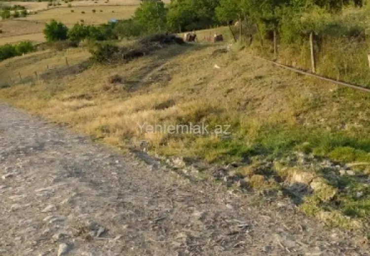 10 sot Torpaq Satılır, Şamaxı