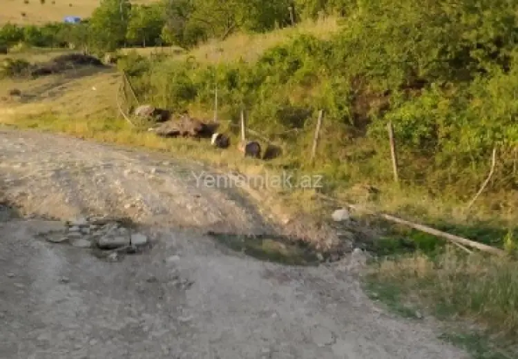 10 sot Torpaq Satılır, Şamaxı