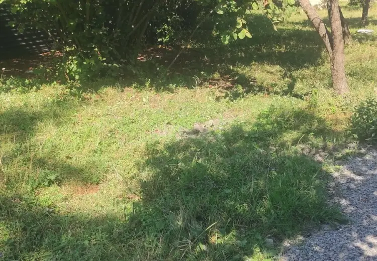 4 sot Torpaq Satılır, Qəbələ