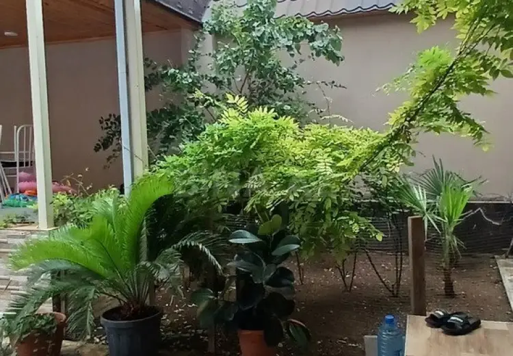 6 otaqlı mənzil Satılır, Gəncə