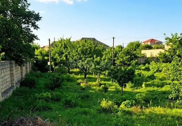9 sot Torpaq Satılır, Novxanı, Abşeron