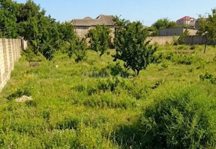 9 sot Torpaq Satılır, Novxanı, Abşeron