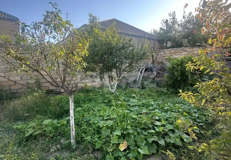 0 m² Obyekt / Ofis , Binə qəs., Xəzər, Bakı