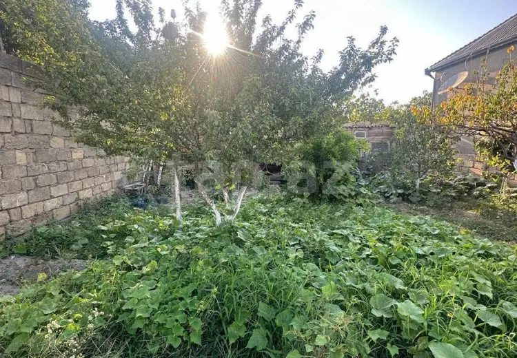 0 m² Obyekt / Ofis , Binə qəs., Xəzər, Bakı