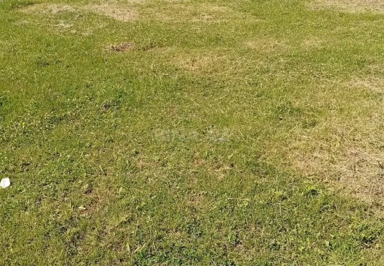 12 sot Torpaq Satılır, İsmayıllı