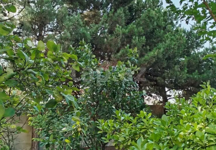 7 otaqlı mənzil , Bakı