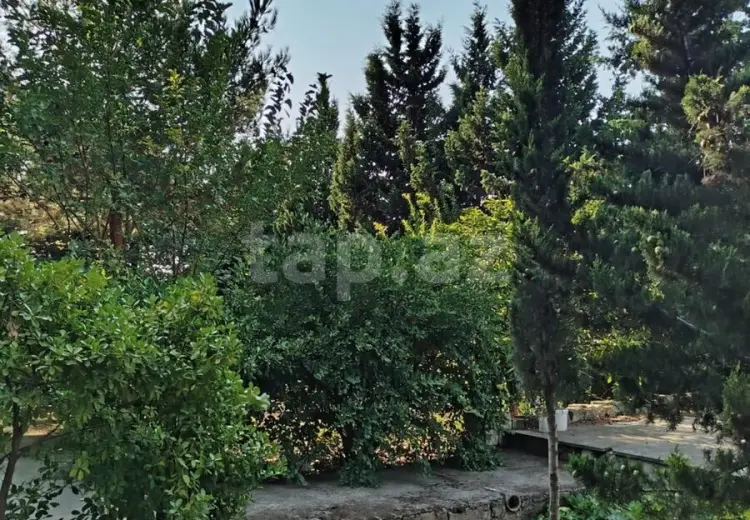 7 otaqlı mənzil , Bakı